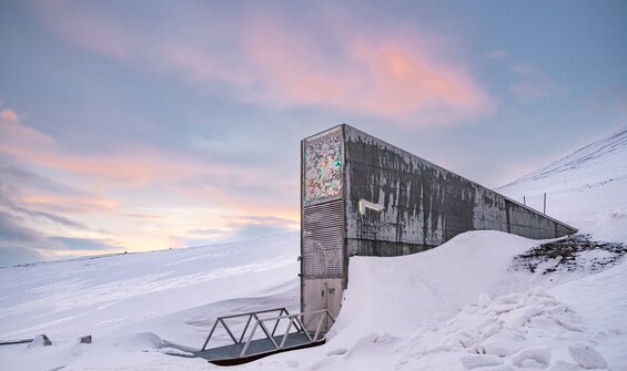 60,000 Seed Samples Safeguarded in Svalbard