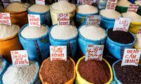 Sacks of rice varieties