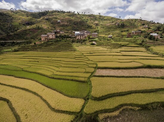Terraced fields in Madagascar