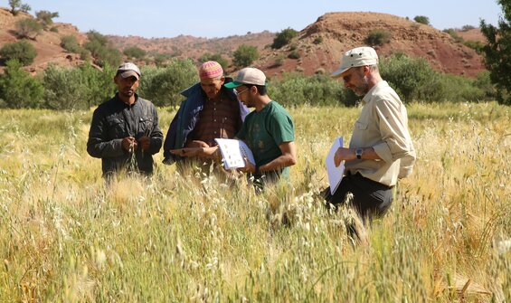 BOLD Action Advances Conservation and Use
