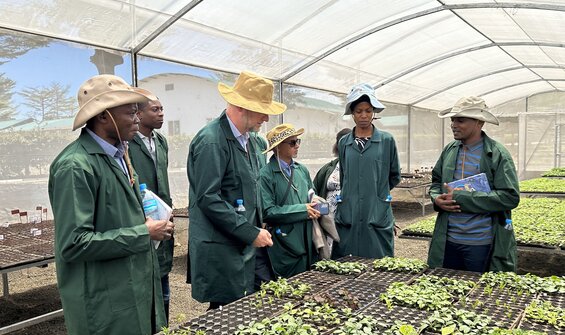 System Development: Towards a Global Genebank System