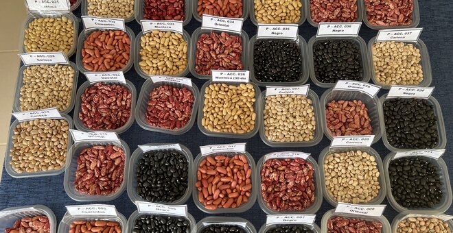 Bloomberg: Arctic Vault Stashes More Seeds for Future Food