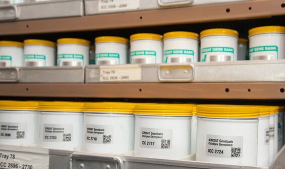 CGIAR Genebank Platform