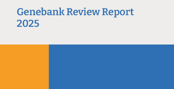 Genebank Review: CIMMYT (2025)