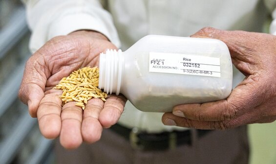 Towards a Global Genebank System
