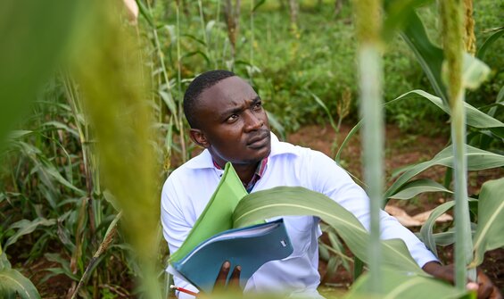 Banking on African heritage