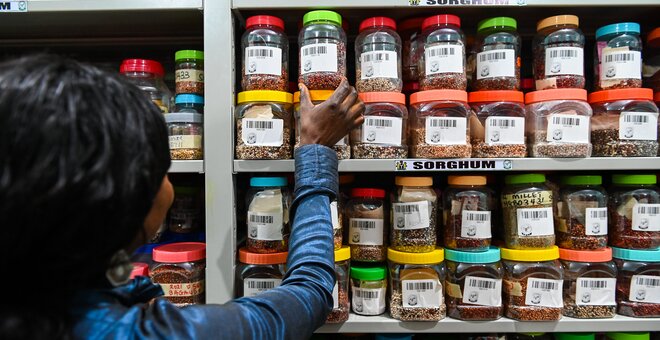 Devex: Why crop diversity is key for the future of food