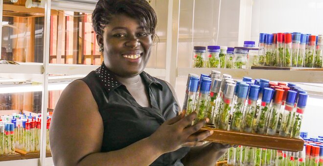 The Ghana National Genebank is one of the five genebanks in Africa taking part in the Seeds4Resilience Project. Photo: Nora Castaneda-Alvarez/Crop Trust