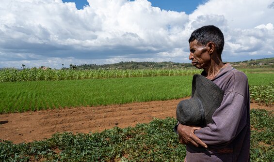 Sweetpotato Project: Securing Diversity for Farmers and the Future