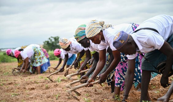 Seeds for Resilience Action Grows