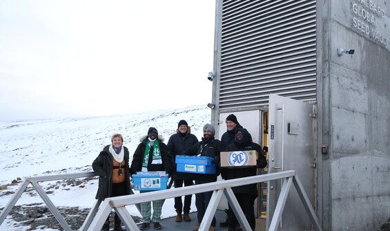 Svalbard Global Seed Vault Turns 15